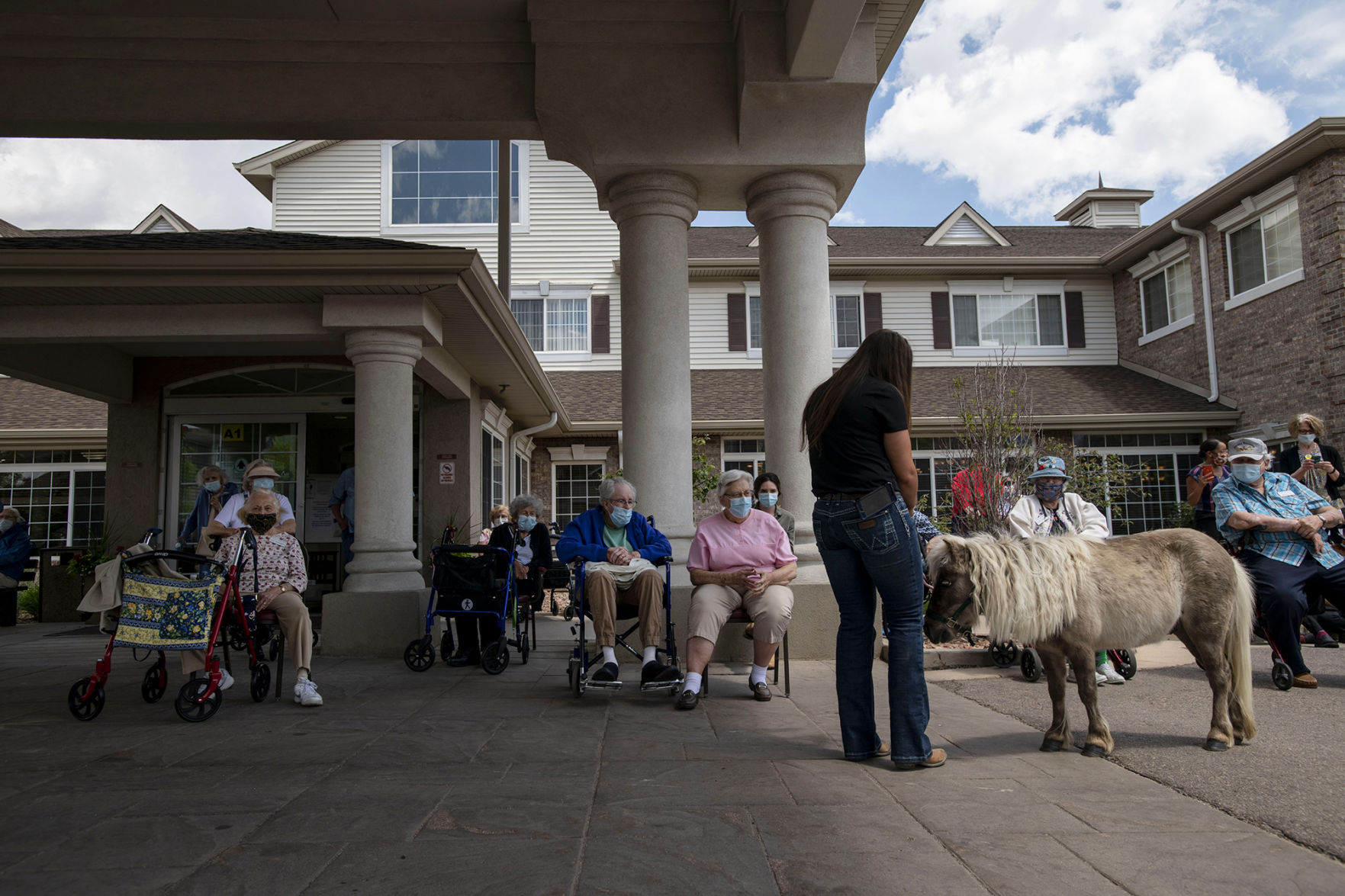 053020-news-minihorses 02.jpg